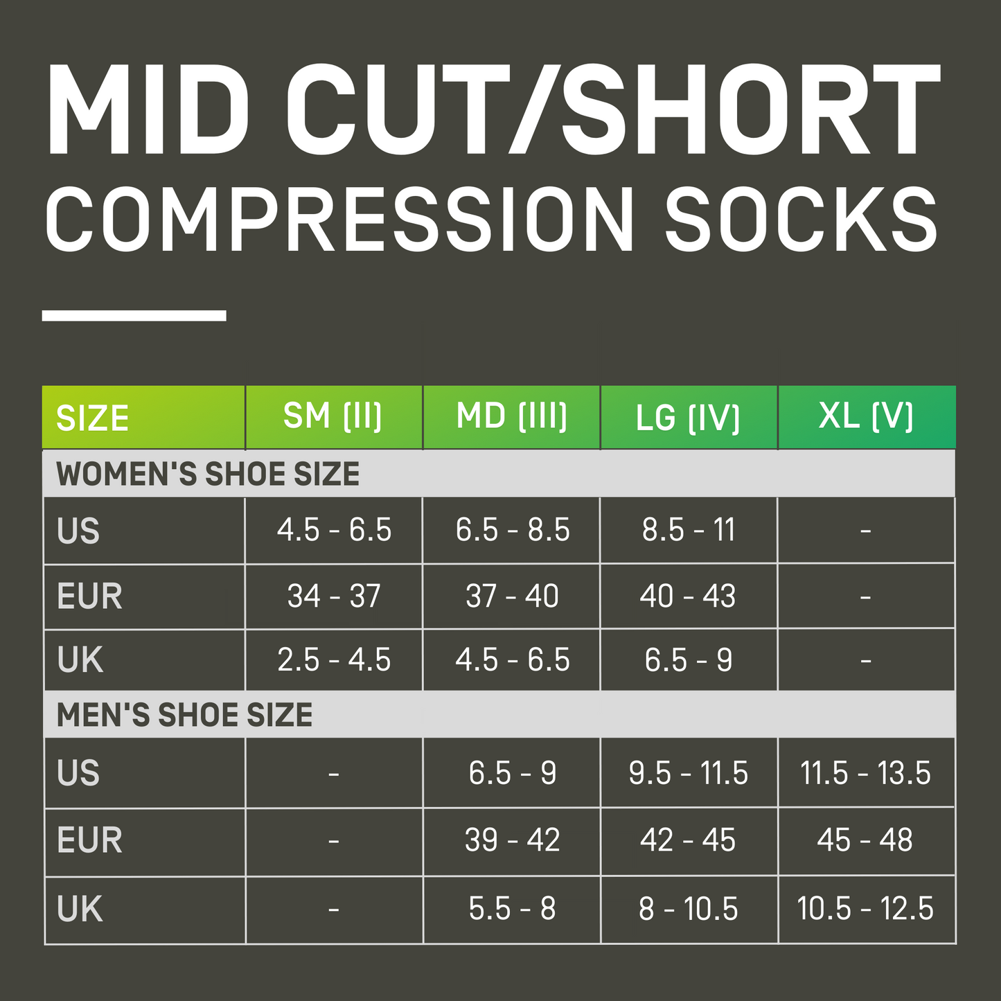 The Run No Show Socks 4.0, Women